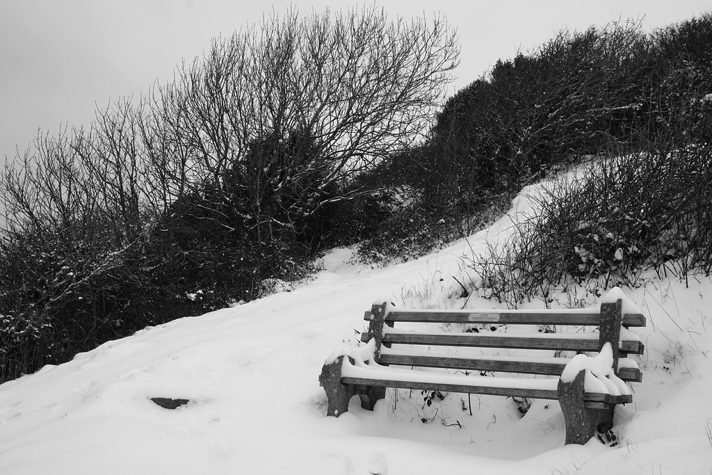 Elevation of Long Ashton, Bristol BS41, UK Topographic Map Altitude Map