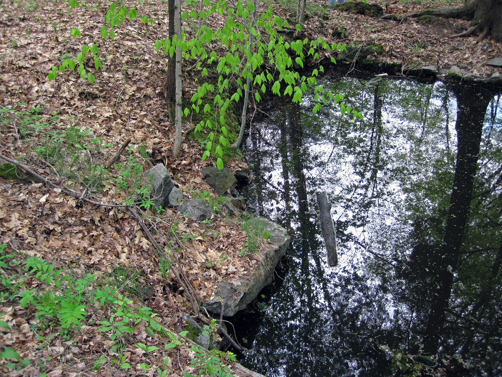 Old iron mine & nelsonite rocks (Proterozoic; Port Leyden,… Flickr