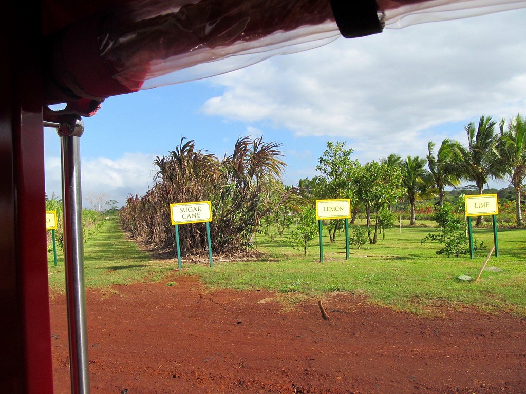 IMG_8382 Pineapple Express train ride through the Dole Pla… Flickr