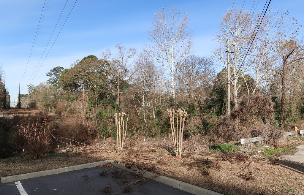 Elevation of Kinsey Rd, Dothan, AL, USA Topographic Map Altitude Map