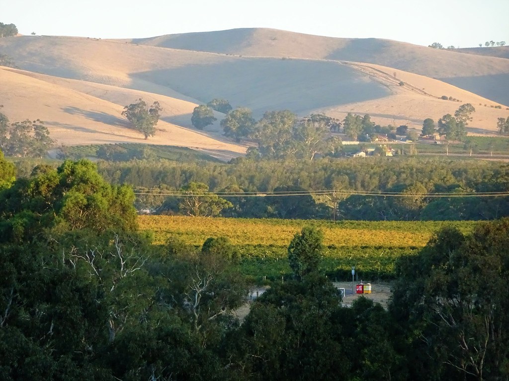 Barossa Valley. Vines and landscape near Rowlands Flat. Flickr