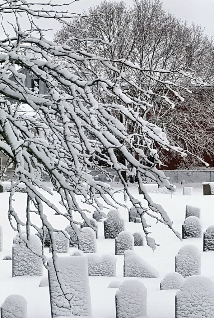Elevation of Chebacco Rd, South Hamilton, MA, USA Topographic Map