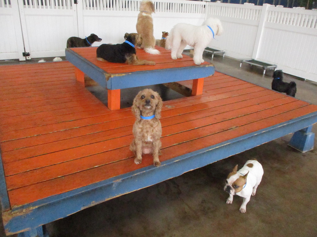 IMG_3990 Dr. Boyd's Irvine Flickr