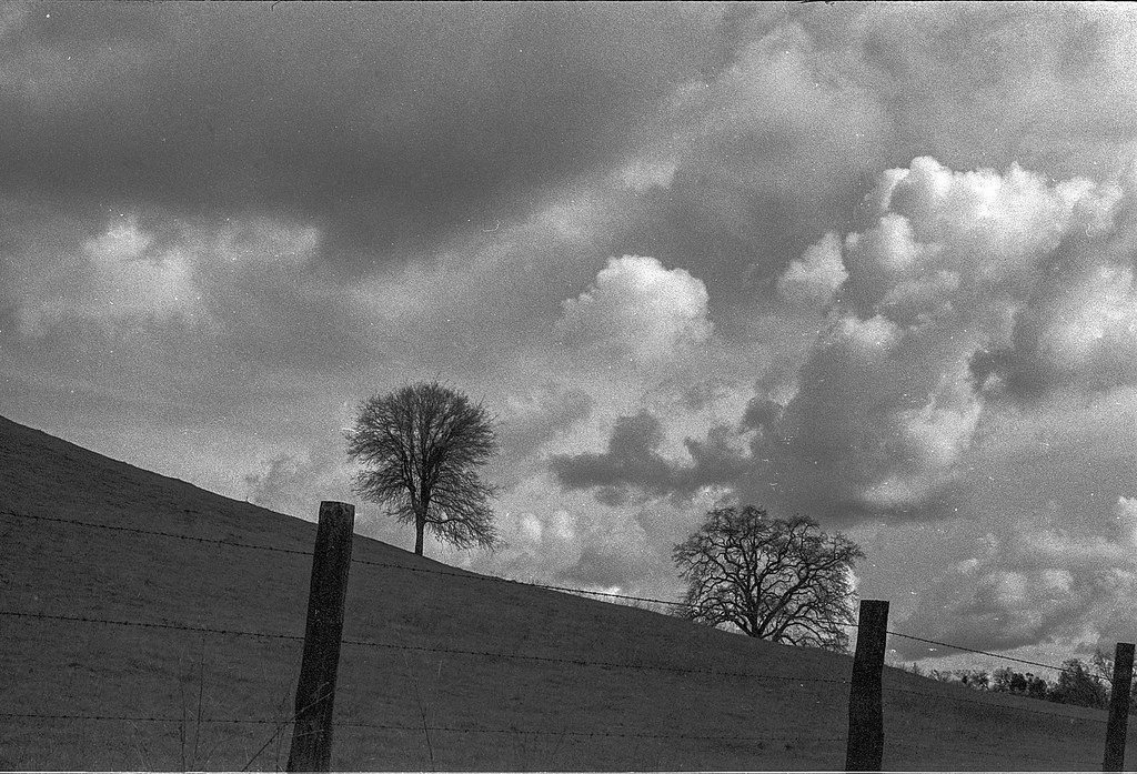 Springfield Road First try at developing! Minolta SRT202 … Flickr