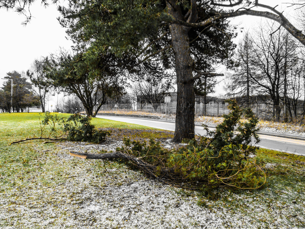 Storm Damage. Kennoway Road. Leven. Fife. Scotland. Terence Gilley
