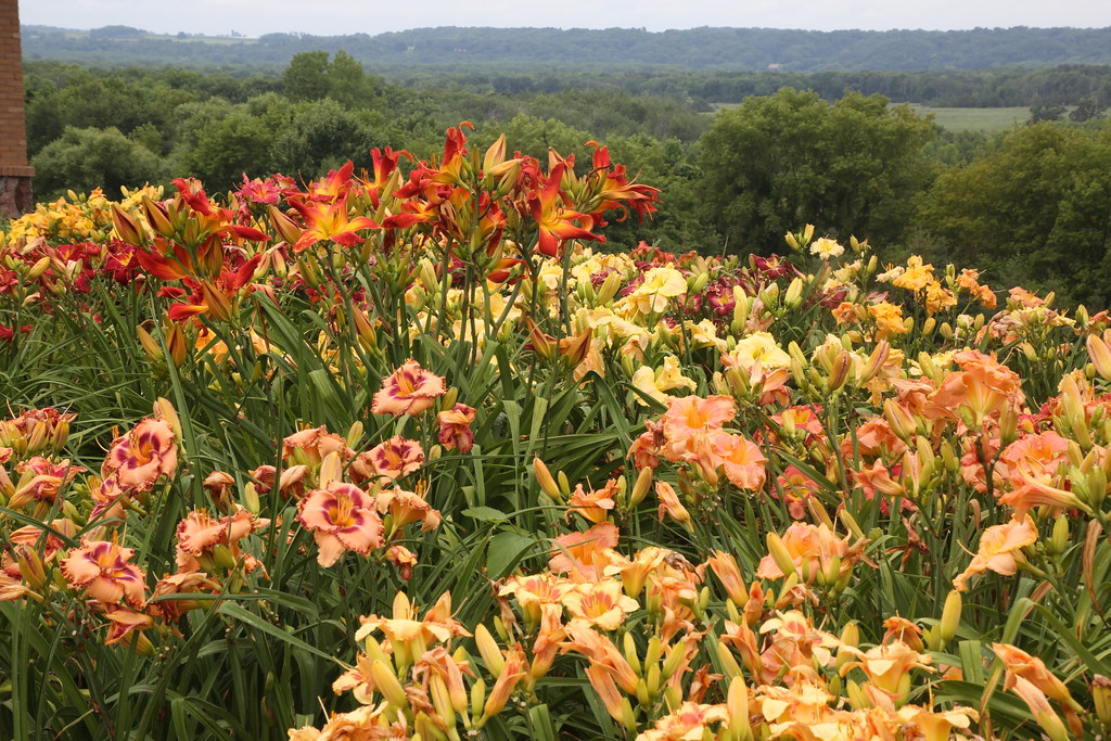 Elevation of New Prague, MN, USA Topographic Map Altitude Map