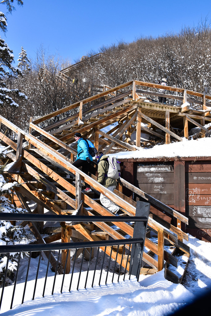 Patricia Heights Park at Gina Hoffman blog