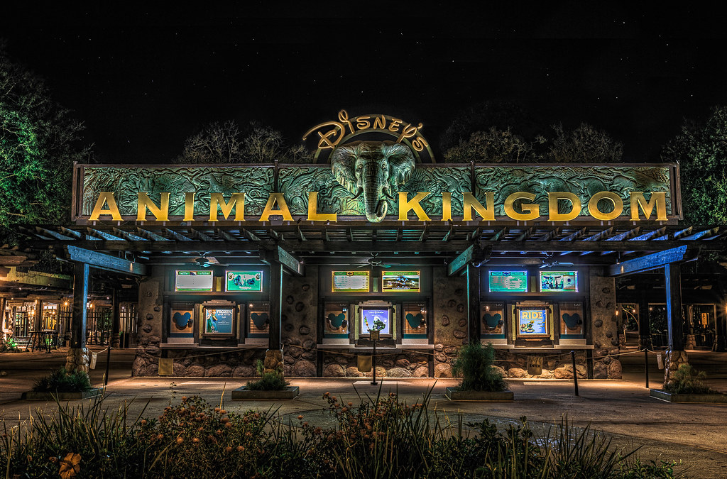 Animal Kingdom Walt Disney World Resort An extremely exc… Flickr