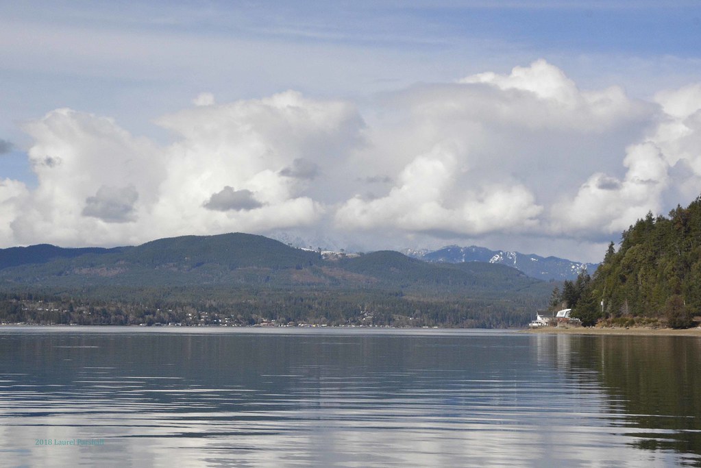 03032018 044a the far view Laurel PARSHALL Flickr