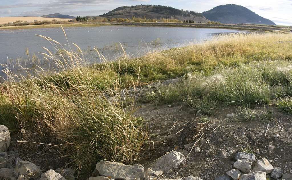 Blackfoot Reservoir BLMIdaho Flickr