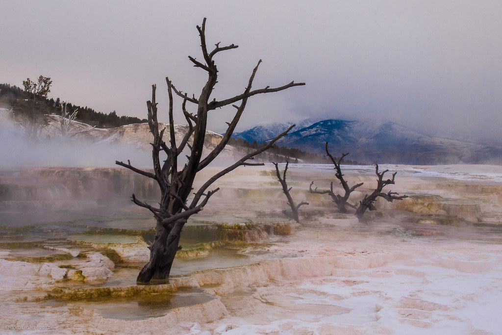 Angel Terrace Sunset Yellowstone National Park Mammoth H… Flickr