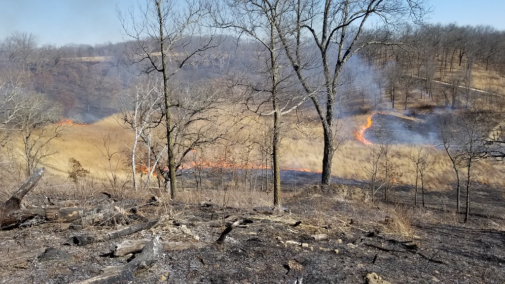 20180304_131534 Pleasant Valley burn 3/4/2018 Country Sky Flickr