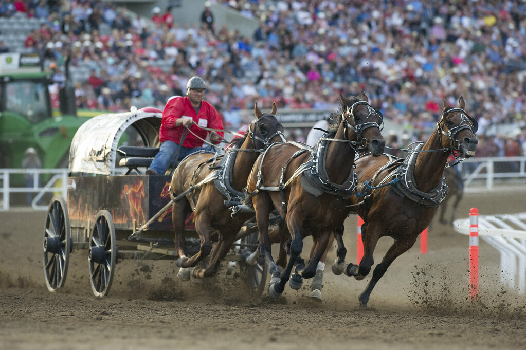 Day 6 (20170712_BM_0743) Chuckwagon race Calgary Stampede Flickr