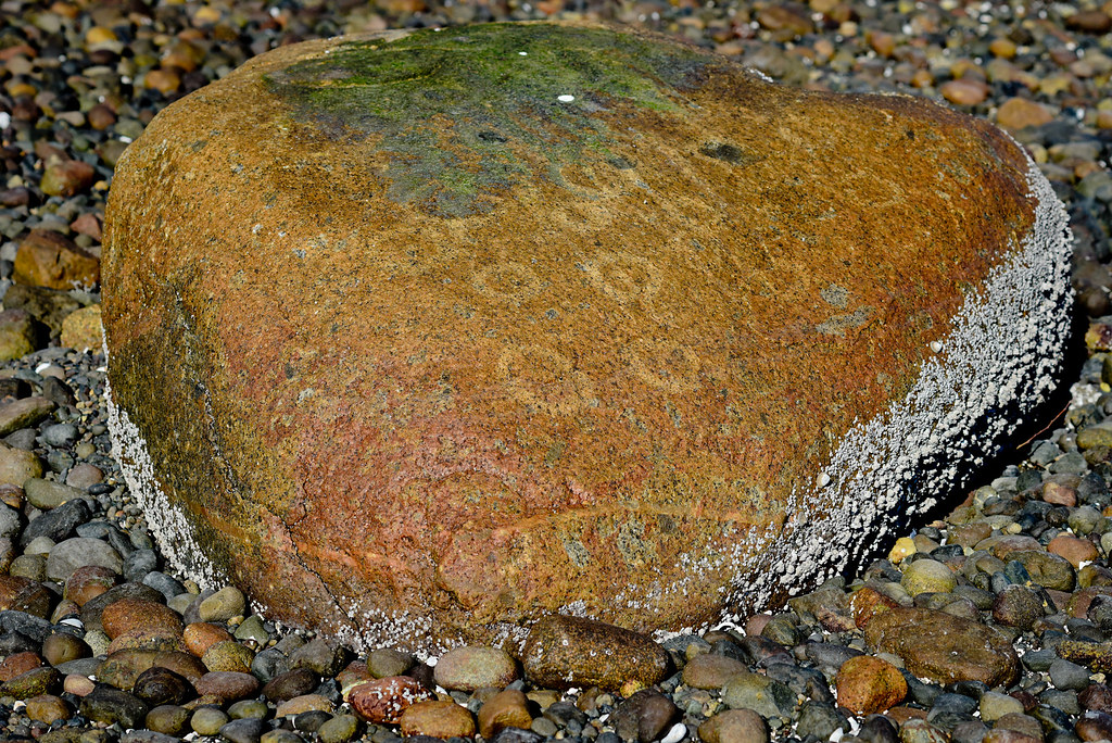 Allyn Waterfront Park Petroglyph, Case Inlet, Puget Sound,… Flickr