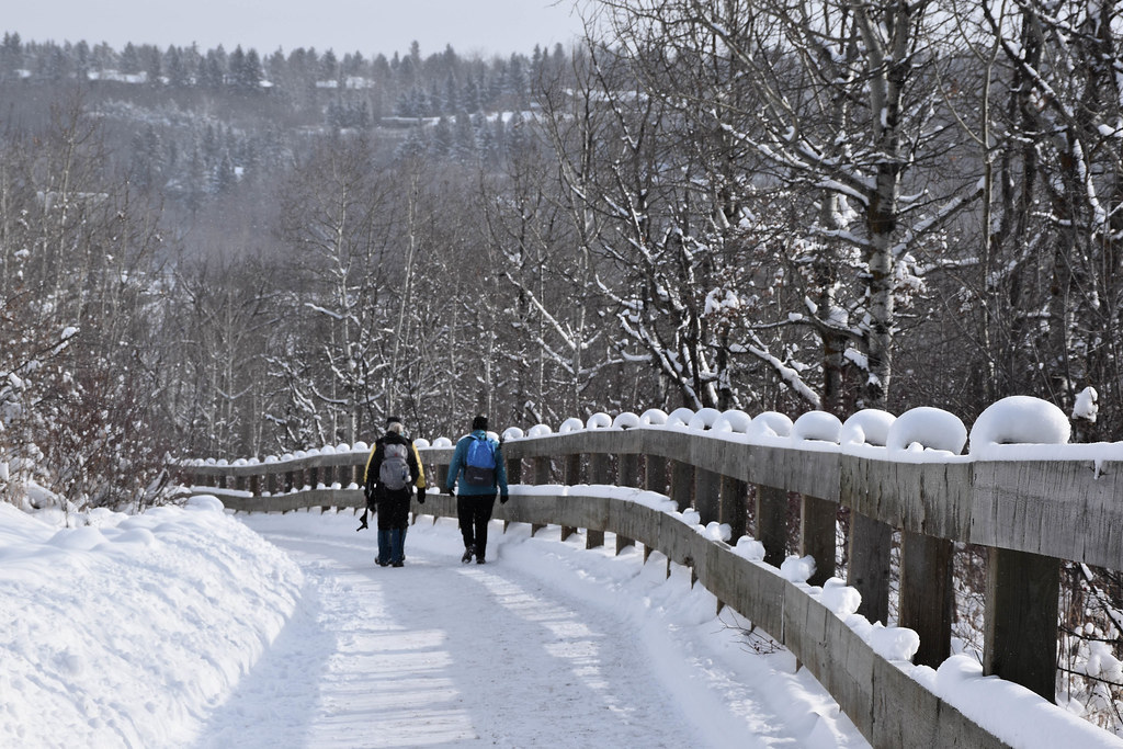 Patricia Heights Ravine to Alfred Savage Centre Photo WTA Flickr