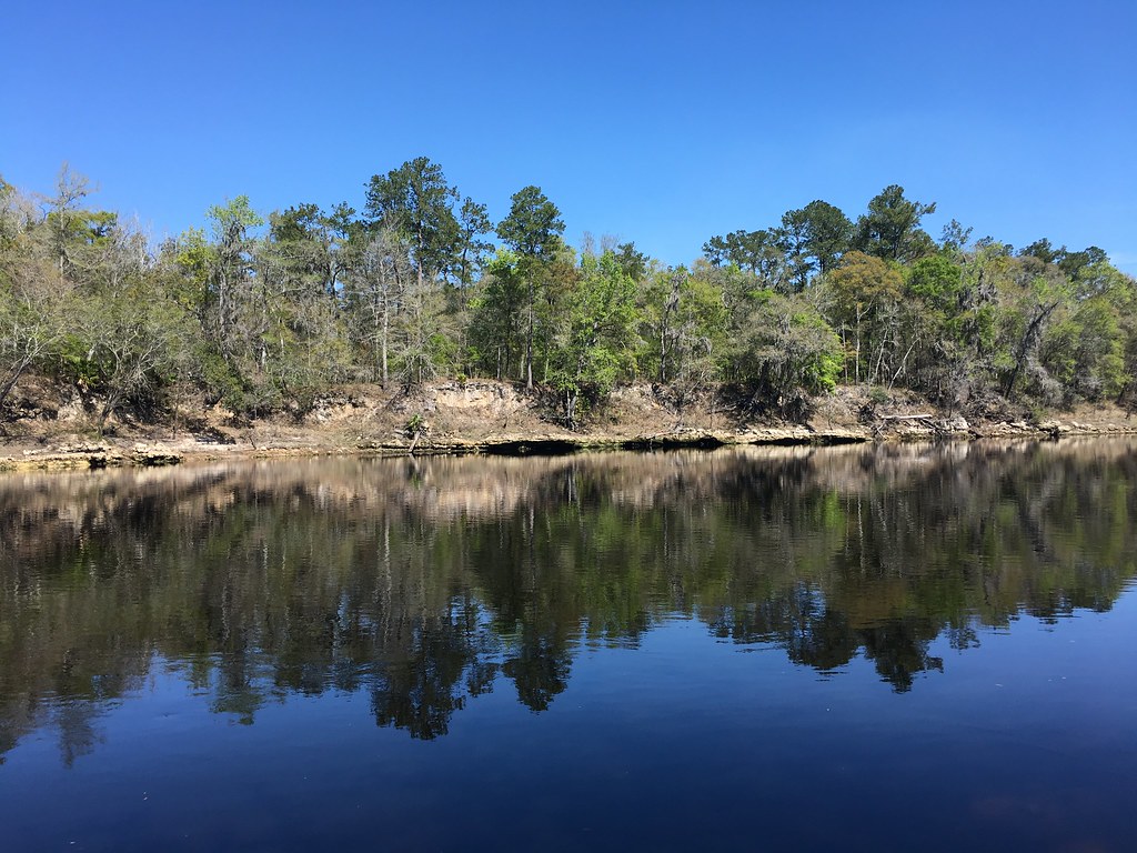 Suwannee River Dowling Park FL (3) Lance Taylor Flickr