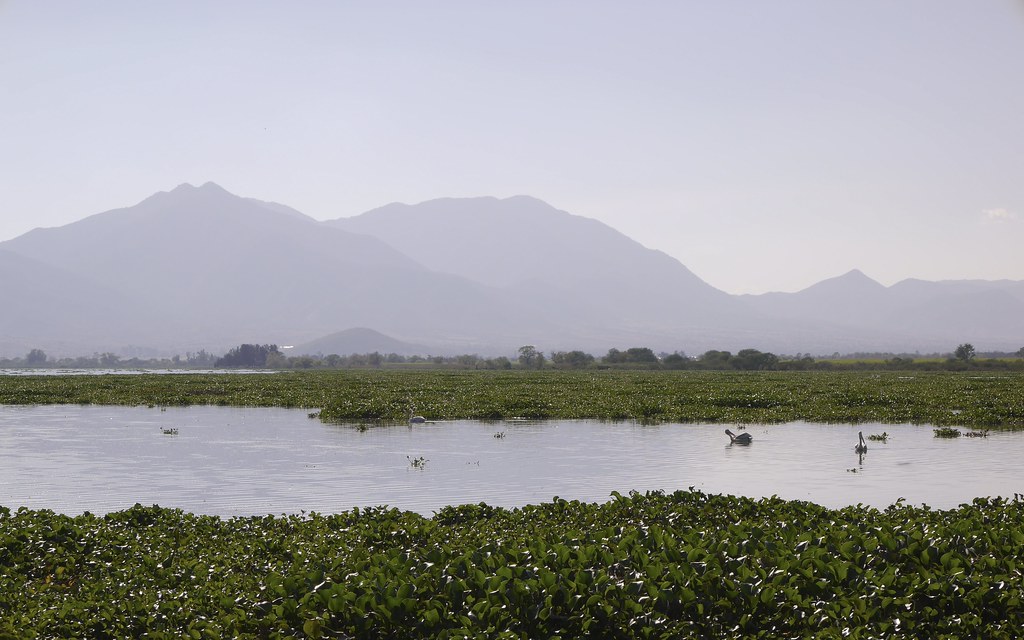 Lago Presa La Vega Cerca de Teuchitlán, Jalisco fedewerner Flickr
