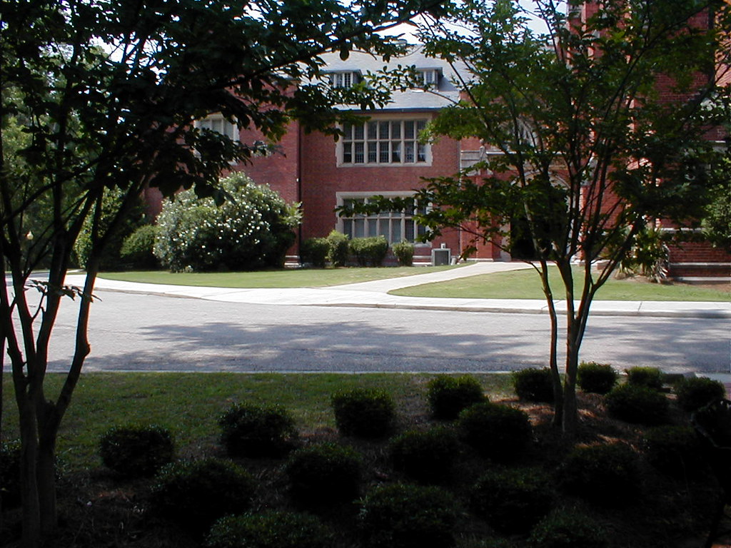 Flowers 1 Huntingdon after Mike's funeral. David Atkins Flickr