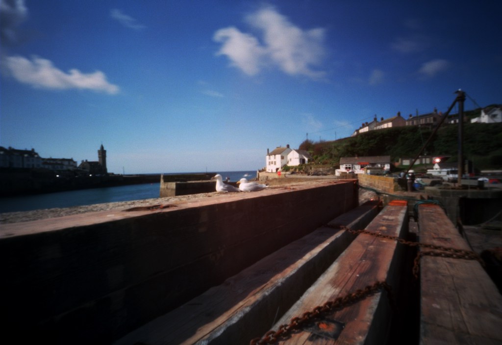 Porthleven harbour View Large wildlife photography with a … Flickr