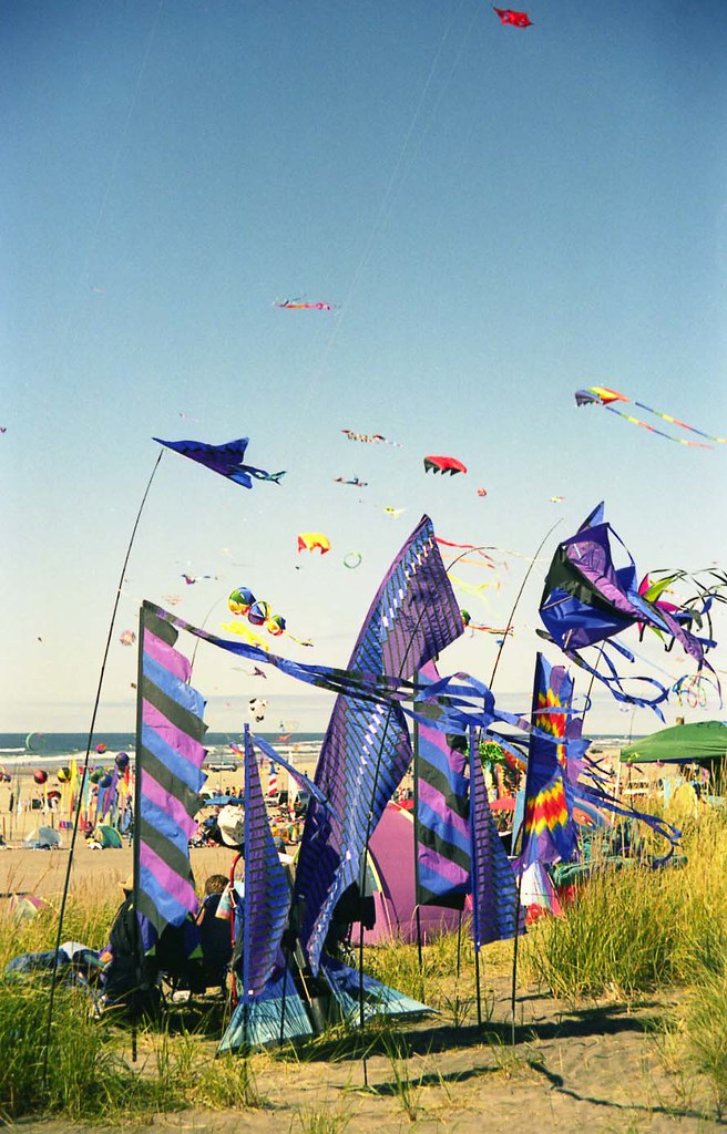 Long Beach WA Kite Fesitival 5 Kites and more kites. This… Flickr