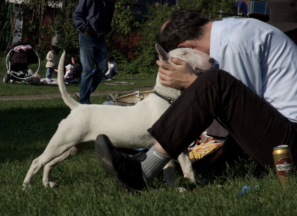 luv dog luv dog Even Westvang Flickr