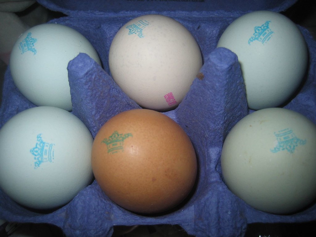 Old Cotswold Legbar eggs The bottom right one is more gree… Flickr