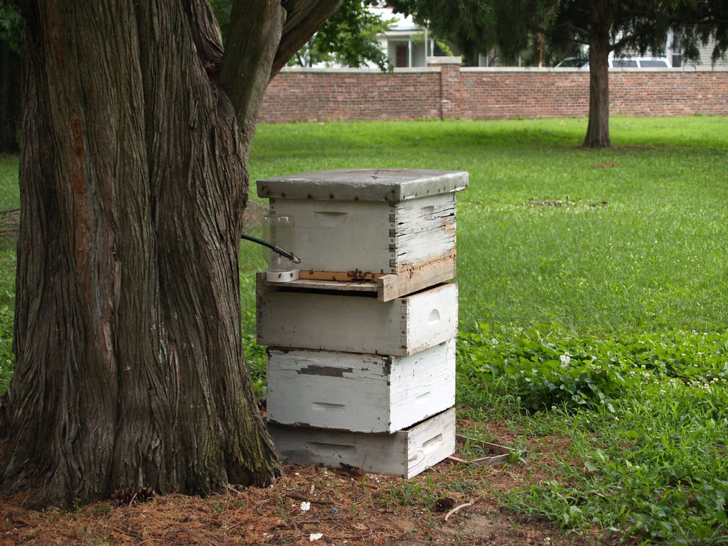 new harmony indiana bee hive inside the rappite cemetery christina