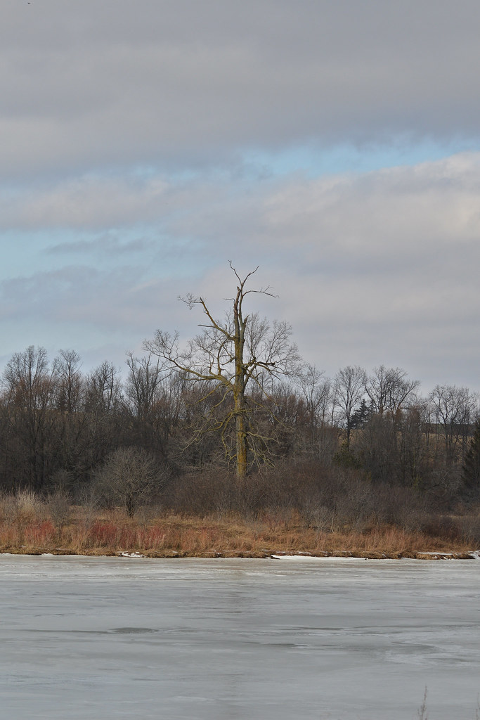 Snyder's Flats Location Snyder's Flats in Kitchener, Onta… Flickr