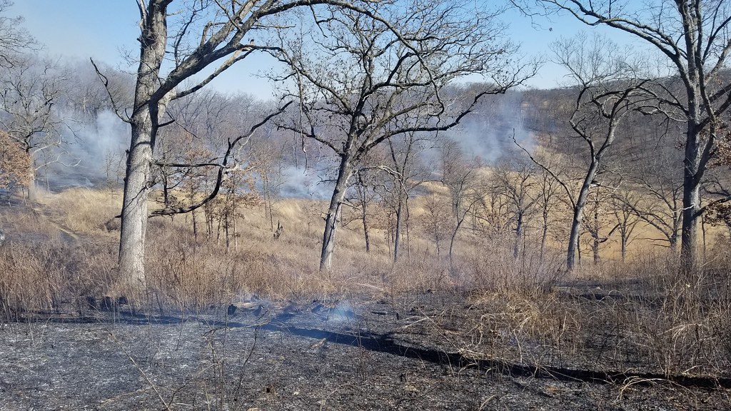 20180304_130238 Pleasant Valley burn 3/4/2018 Country Sky Flickr