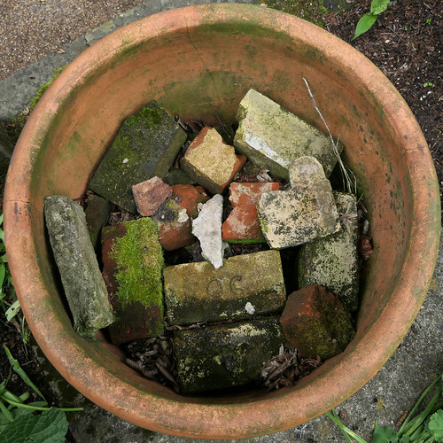 flower pot Norwich, Norfolk, England, UK Leo Reynolds Flickr