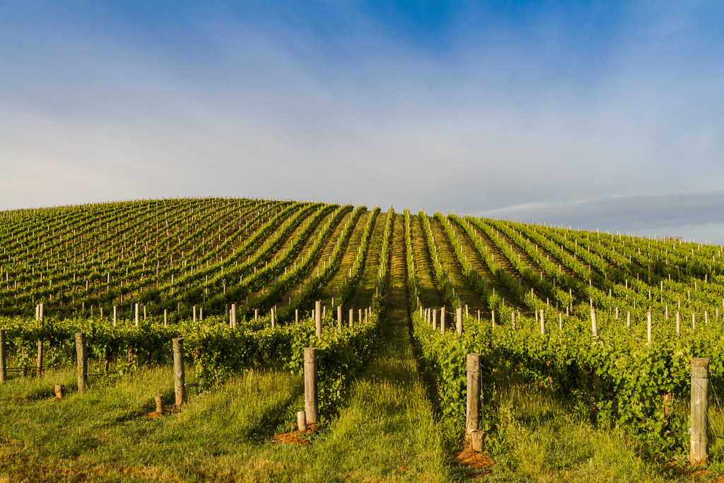 Birdwood, Adelaide Hills South Australia Trace Connolly Photography
