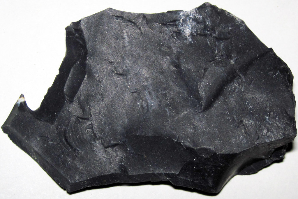 Zaleski Flint (Middle Pennsylvanian; west of Creola, northern Vinton County, Ohio, USA) 40 a