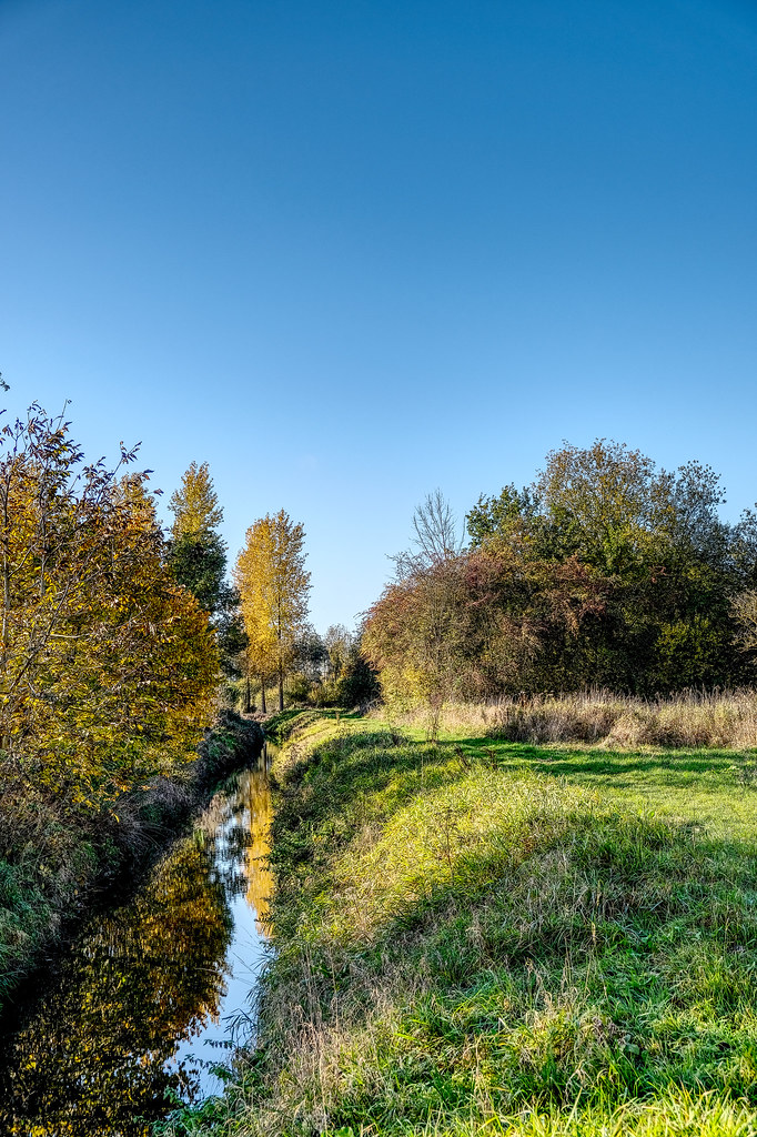 Autumn Creek Creek flowing through the meadow. Johan Neven Flickr