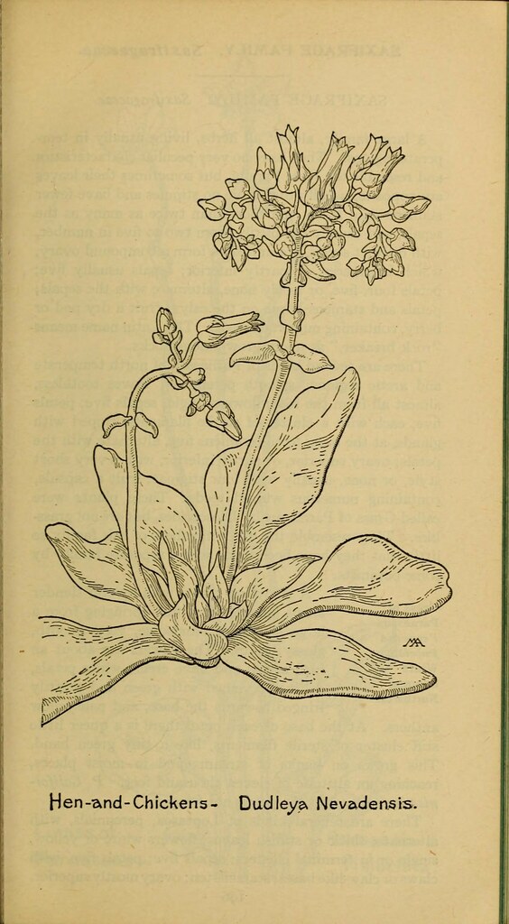 n248_w1150 Field book of western wild flowers /. New York … Flickr