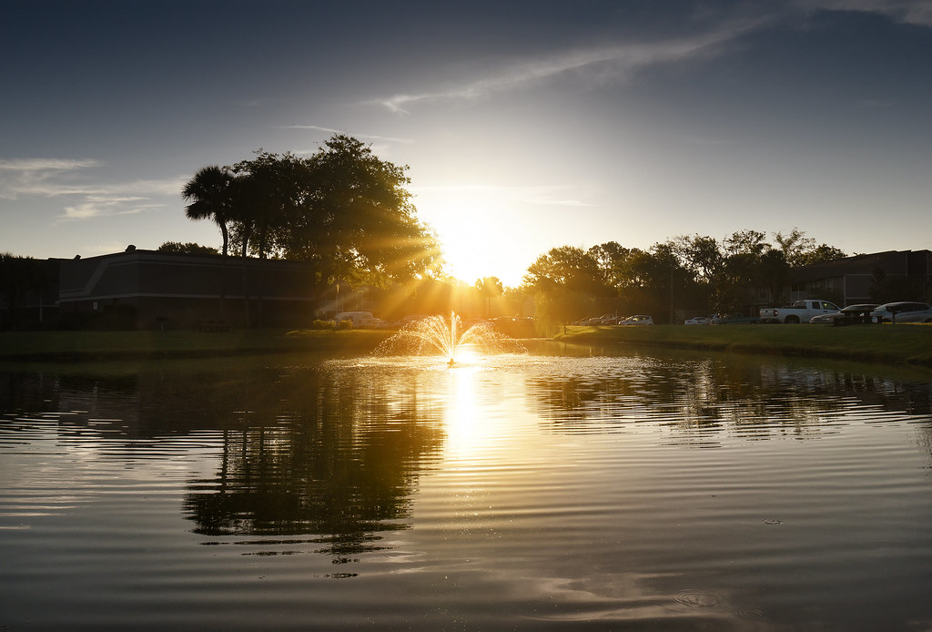 Willow Lake Apartments Lutz, Florida Real Estate photo s… Flickr