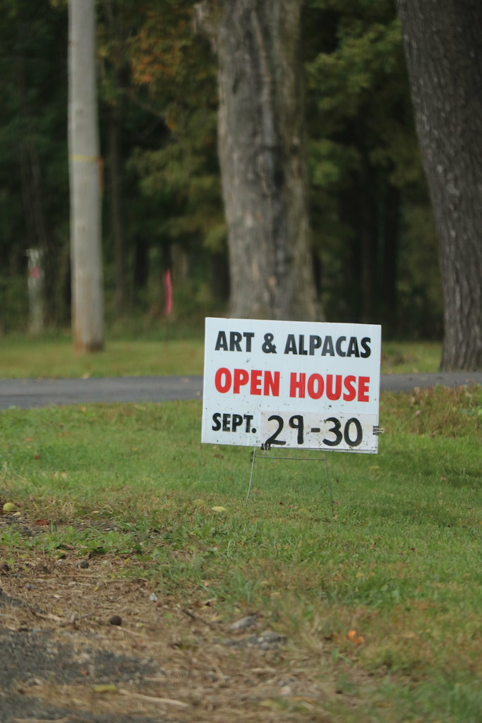 Alpaca Farm Days 2018 Waldron Grove Alpaca Farm Flickr
