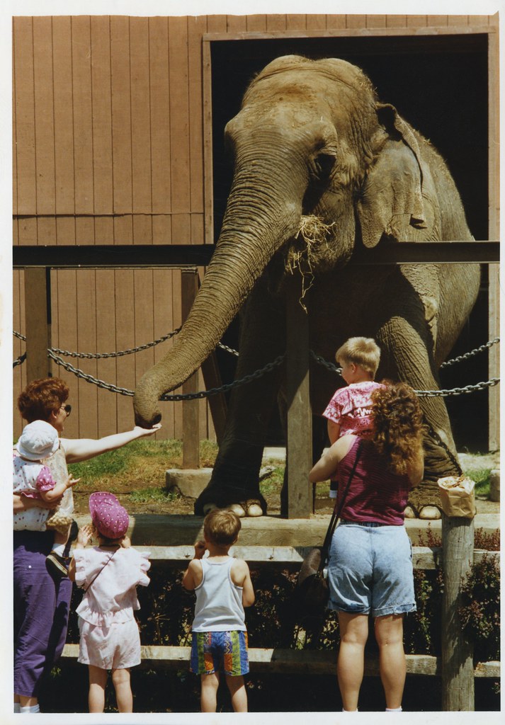 Parks Slater Park Zoo Fanny No Date 001 Pawtucket Library