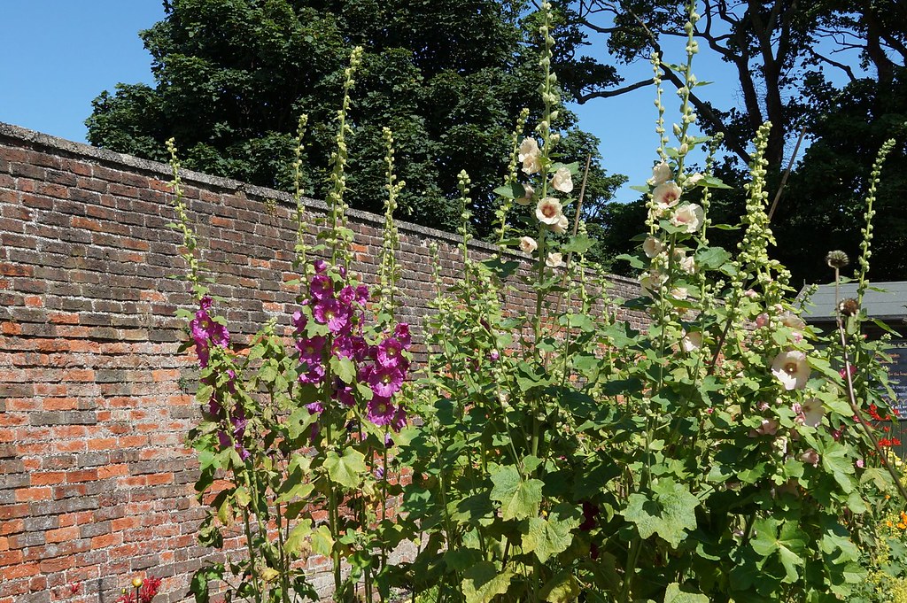 Community Gardens, Seaton Delaval Hall, Northumberland, En… Flickr