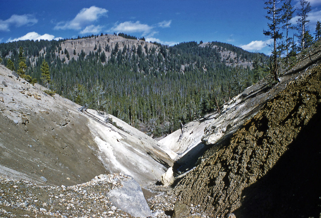 Death Gulch (Yellowstone, Wyoming, USA) Flickr