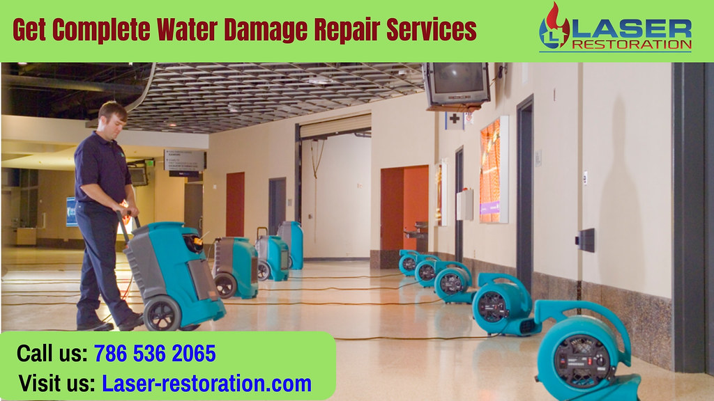 Get Complete Water Damage Repair Services Need perfect wat… Flickr