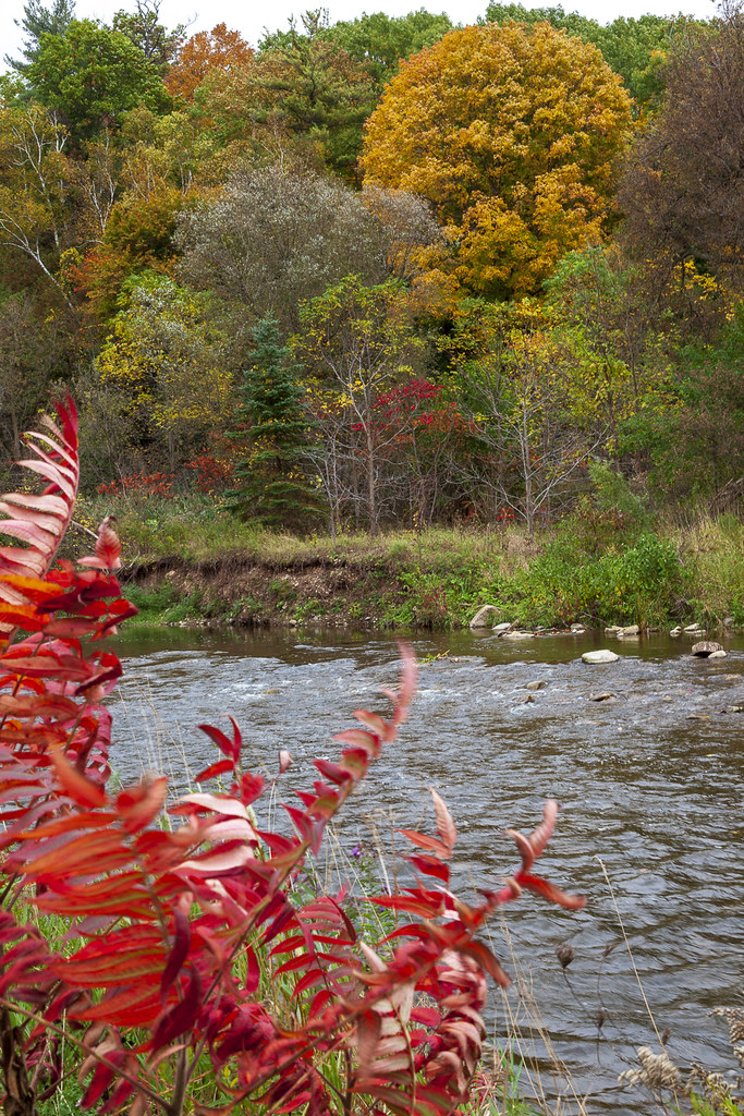 Credit River Fall 2018 Credit Valley Conservation Flickr