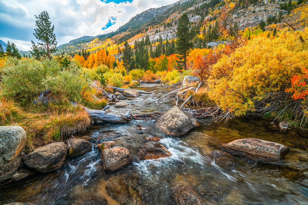 South Fork Creek Eastern Sierras Fall Foliage Calif… Flickr