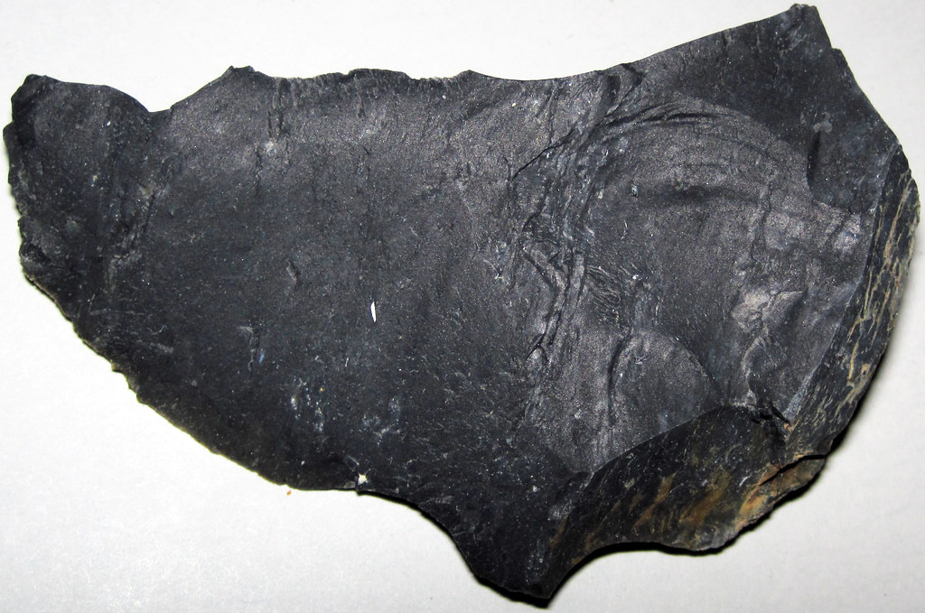 Zaleski Flint (Middle Pennsylvanian; west of Creola, north… Flickr