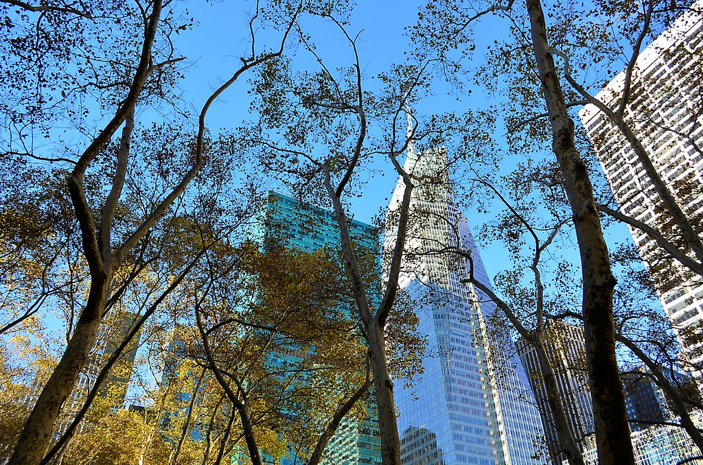 Bryant Park Trees pjpink Flickr