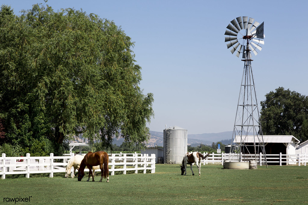 Horses at a ranch in Texas. Original image from Carol M. H… Flickr