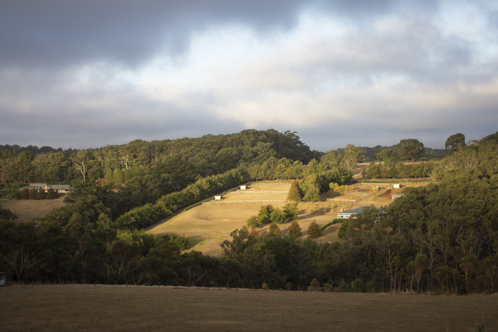 Red Hill Before sunset at Red Hill, Victoria, Australia Kerrie