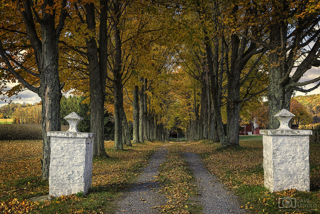 A farm fall Garrett County, Friendsville, Maryland USA Dave Arnold