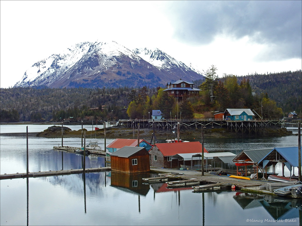 Halibut Cove Halibut Cove, Kachemak Bay, Alaska NancyM Flickr