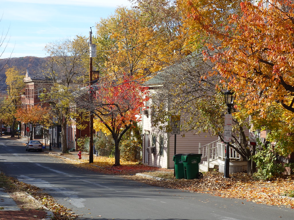 201611210 Poughkeepsie View along Union Street with trees … Flickr