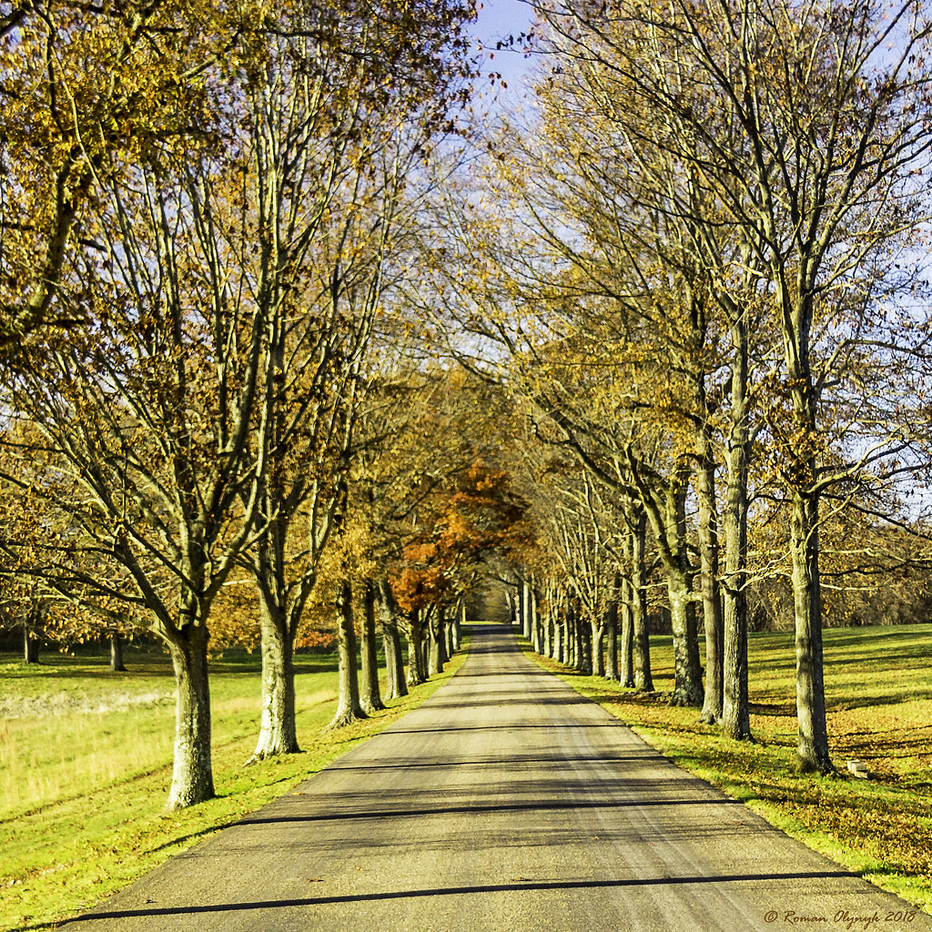 Road to Gallatin House Road to Albert Gallatin House in so… Flickr